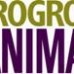 Prácticas en EuroGroup for Animals – Bruselas