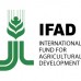 Prácticas remuneradas en el IFAD