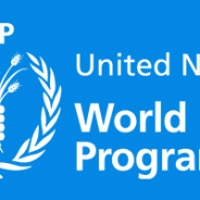 Prácticas remuneradas en el WFP