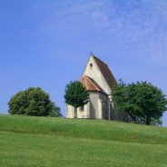 Vacante SVE en Austria