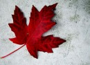 Canadá