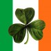 1 vacante para hispanohablantes en Irlanda