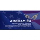 Práctica remunerada en el AMCHAM de Bruselas