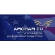 Práctica remunerada en el AMCHAM de Bruselas