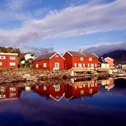 Trabajo en Noruega para mécanicos de motos
