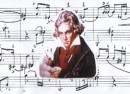 note mid