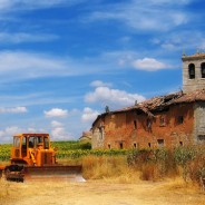 Becas de la Xunta para prácticas en especialidades agrarias, forestales, veterinaria..