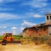 Becas de la Xunta para prácticas en especialidades agrarias, forestales, veterinaria..