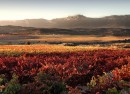 Fuente: vinetur.com