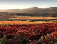 Fuente: vinetur.com