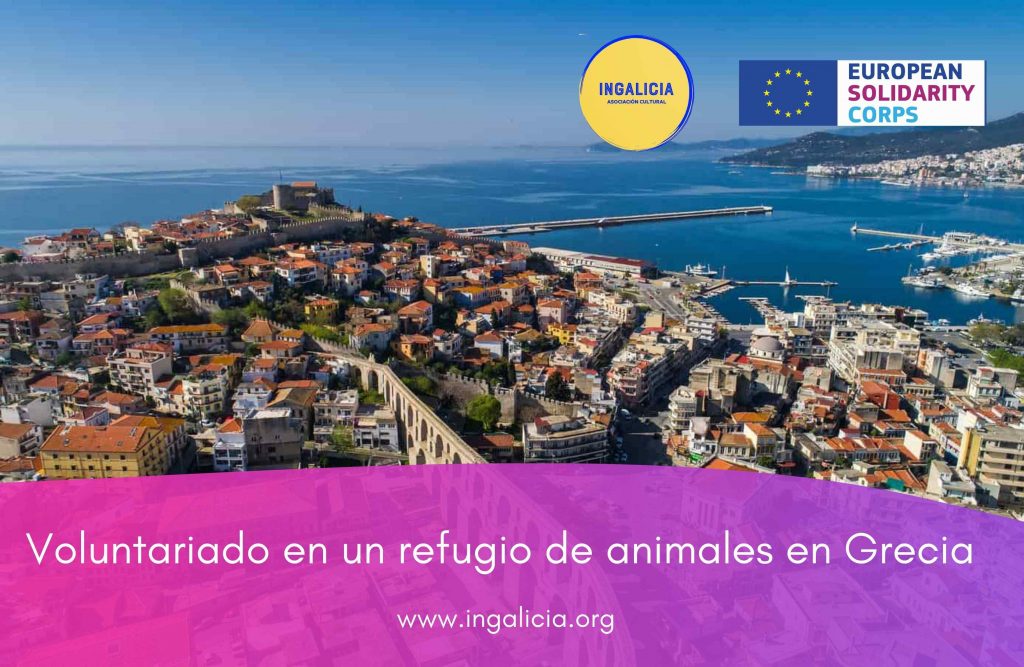 Voluntariado en un refugio de animales en Grecia